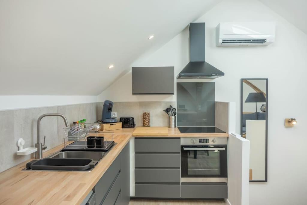 Maison/Appartement Avec Jardin Saint-Denis-en-Val Eksteriør billede